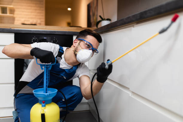 Best Commercial Pest Control Services  in Piru, CA