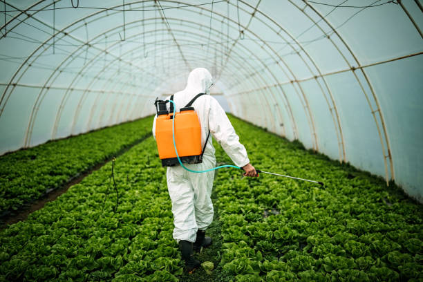Best Affordable Pest Control Services  in Piru, CA