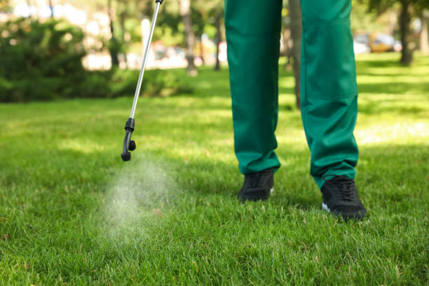 Best Exterminator Services  in Piru, CA