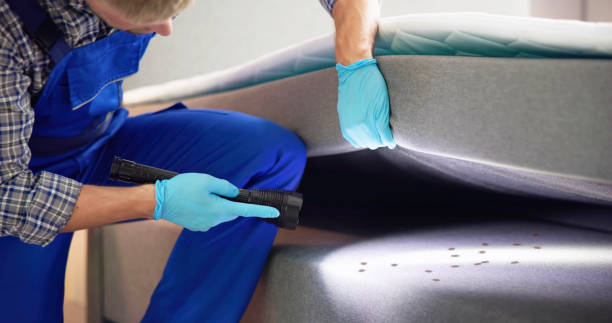 Best Mosquito Control Services  in Piru, CA