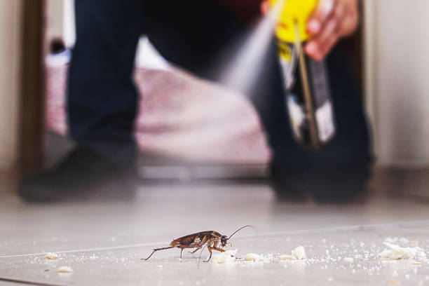 Pest Control for Restaurants in Piru, CA